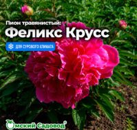 Питомник Омский Садовод