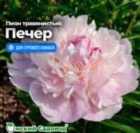 Питомник Омский Садовод