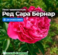 Питомник Омский Садовод