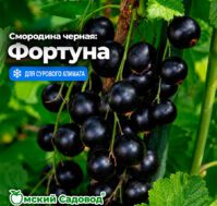 Питомник Омский Садовод