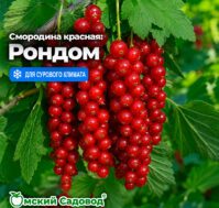 Питомник Омский Садовод