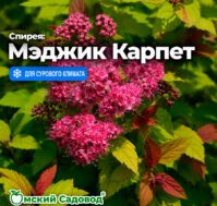 Питомник Омский Садовод