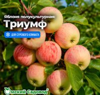 Питомник Омский Садовод