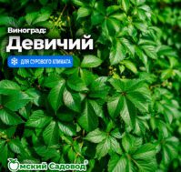 Питомник Омский Садовод