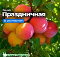 Питомник Омский Садовод