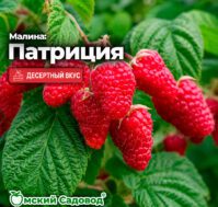 Питомник Омский Садовод