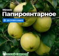 Питомник Омский Садовод