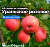Питомник Омский Садовод
