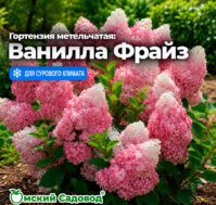 Питомник Омский Садовод