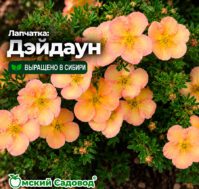 Питомник Омский Садовод