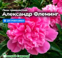 Питомник Омский Садовод