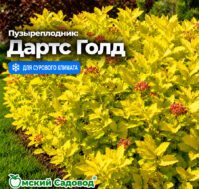 Питомник Омский Садовод