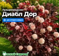 Питомник Омский Садовод