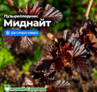 Питомник Омский Садовод
