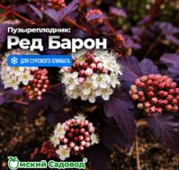 Питомник Омский Садовод