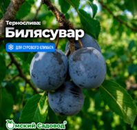 Питомник Омский Садовод