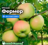 Питомник Омский Садовод