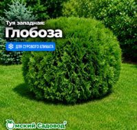 Питомник Омский Садовод