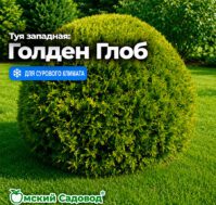 Питомник Омский Садовод