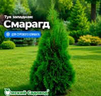 Питомник Омский Садовод