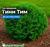 Питомник Омский Садовод