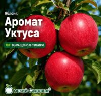 Питомник Омский Садовод