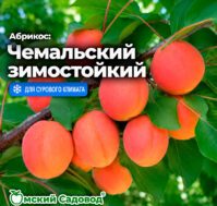 Питомник Омский Садовод