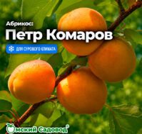 Питомник Омский Садовод