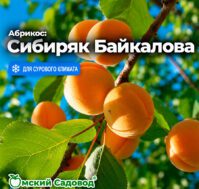 Питомник Омский Садовод