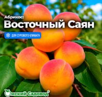 Питомник Омский Садовод
