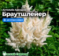Питомник Омский Садовод