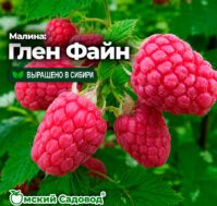 Питомник Омский Садовод