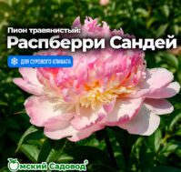 Питомник Омский Садовод