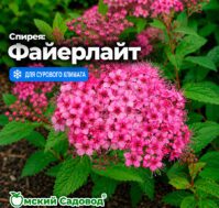 Питомник Омский Садовод