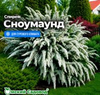 Питомник Омский Садовод