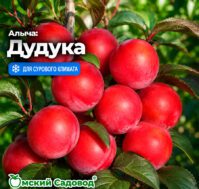 Питомник Омский Садовод