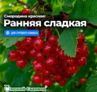 Питомник Омский Садовод