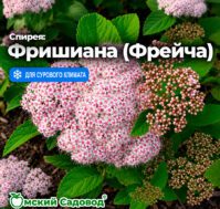 Питомник Омский Садовод