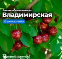 Питомник Омский Садовод