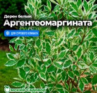 Питомник Омский Садовод
