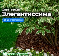 Питомник Омский Садовод