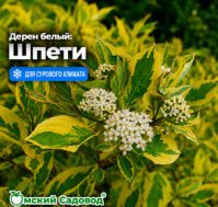 Питомник Омский Садовод