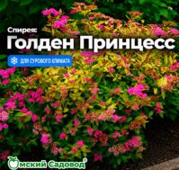Питомник Омский Садовод