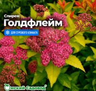 Питомник Омский Садовод