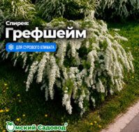 Питомник Омский Садовод