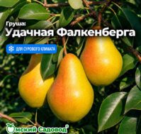 Питомник Омский Садовод