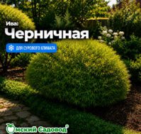 Питомник Омский Садовод