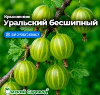 Питомник Омский Садовод