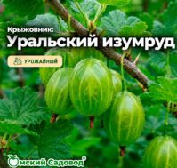 Питомник Омский Садовод