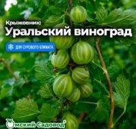 Питомник Омский Садовод